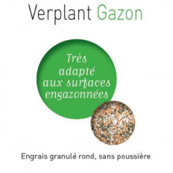 Engrais Verplant gazon 20.5.10+4Mgo Haifa
