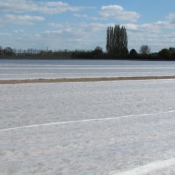 Voile hivernage ou forçage, 19 gr/m2 LUTRASIL PRO, larg. 4,25 x 100 m