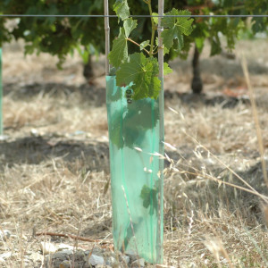 Gaine Désherbage Renforcée 140µ - Vert paquet de 800