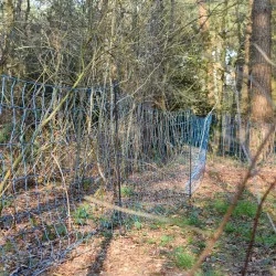 Filet anti-loups long. 50 m Gallagher