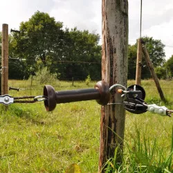 Connecteur Inox pour cordon Gallagher (4 unités)