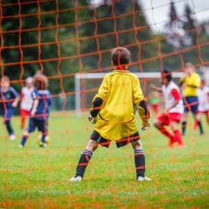 Gazon Professionnel de Regarnissage CHALLENGE