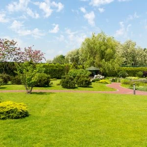 Enherbement Parc 10kg - 400m² - semences professionnelles
