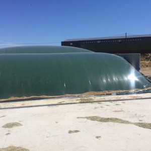 Film d'ensilage Premium métallocène 115µ SILOGREEN noir vert - Plastika Kritis - bobine XL 50 m