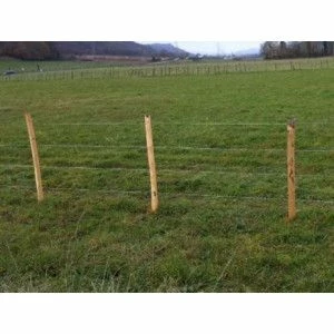 Piquet Châtaignier 2m50 Scié non écorcé - Circonférence 26 à 30cm