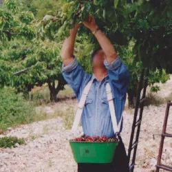 Panier K1 Le Kangourou polypropylène - 10 litres - vert