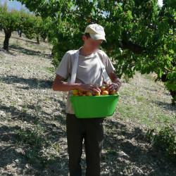 Panier K3 Le Kangourou polypropylène - 15 litres - vert