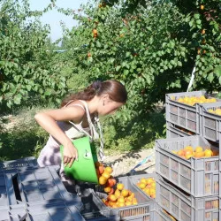 Panier K3 Le Kangourou polypropylène - 15 litres - vert