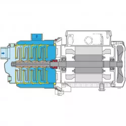 Pompe MXP 405 Tri Calpeda multicellulaire, horizontale
