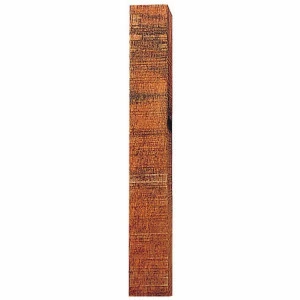 Piquet de coin bois 10 x 10 cm, haut. 2,50 m Insultimber Gallagher