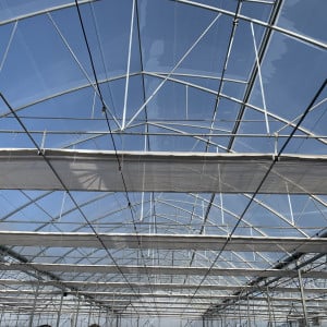 Film transparent Agrithermic Cristal ep. 200 µ, dim. 6,5 x 14 m