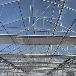 Film transparent Agrithermic Cristal ep. 200 µ, dim. 12,5 x 50 m