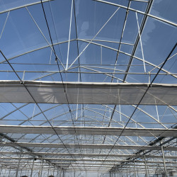Film transparent Agrithermic Cristal ep. 200 µ, dim. 13,5 x 54 m