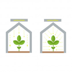 Film transparent Agrithermic Diffusant 200µ, dim. 13,5 x 94 m