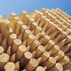 Piquet fraisé pin traité classe 4 vert Ø 8 cm