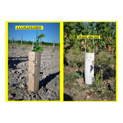 Manchons de protection biodégradables Bisodisac 356 gr/m² pour vignes et arbres, durée de vie 24 à 36 mois