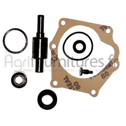 Jeu de réparation de pompe à eau Bepco 20/131-85 pour tracteur