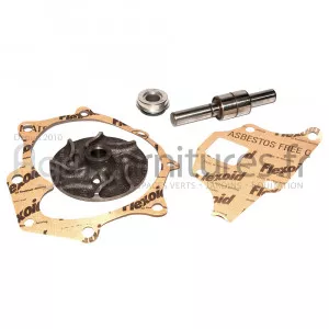 Jeu de réparation de pompe à eau Bepco 24/131-18 pour tracteur industriel
