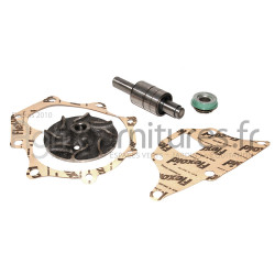Jeu de réparation de pompe à eau Bepco 24/131-20 pour tracteur industriel
