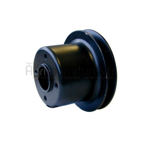 Poulie Ø 19 x 124.3 mm Bepco 30/131-8C pour moissonneuse - batteuse