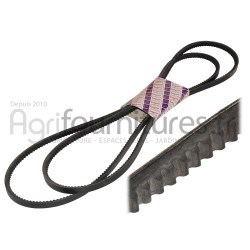 Paire de courroies trapézoïdales 13 x 1462 la Bepco 30/144-124 pour tracteur