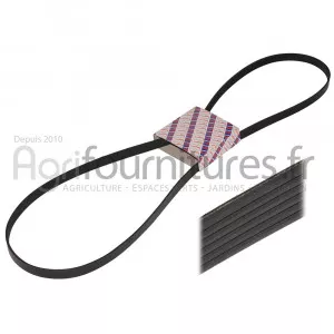 Courroie plate 8 pk x 2205 Bepco 26/144-111 pour tracteur