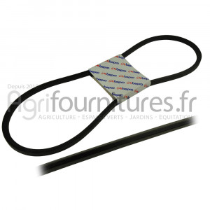 Courroie trapézoïdale 13 x 1268 la Bepco 30/144-4
