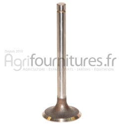 Soupape d'admission Ø 44 x 5.9 mm - l 129.5 mm - 45° Bepco 37/Z69010555 pour tracteur