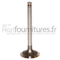 Soupape d'admission Ø 44.2 x 9.5 mm - l 122.8 mm - 35° Bepco 30/42-25 pour télescopique