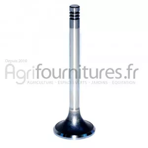 Soupape d'admission Ø 41 x 9 mm - l 117 mm - 45° Bepco 22/42-48 pour tracteur