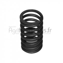 Ressort de soupape Ø 30.06 mm - l 53.5 mm Bepco 20/45-16 pour tracteur