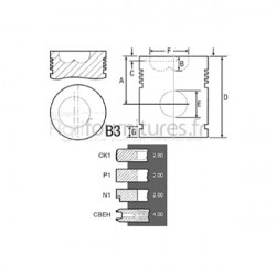 Piston avec segments Ø 100 mm - std Bepco 22/32-216 pour tracteur