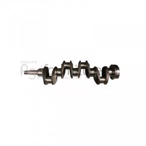 Vilebrequin forge Bepco 25/1-54/NU