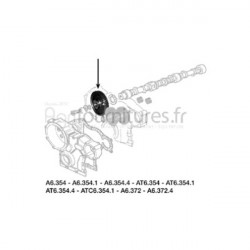 Pignon d'arbre à came Ø 34.84 x 151.7 mm - z56 Bepco 30/81-3 pour moissonneuse - batteuse