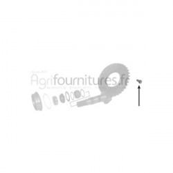 Vis tete hexagonale m12 - l. 25 mm Entrée du différentiel - couple conique pont avant 4M Bepco 24/342-3