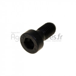 Vis tete cylindrique m10 x 1.5 - l. 20 mm réducteur pont avant 4M Bepco 72/6439-2