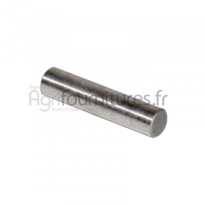 Aiguille de roulement réducteur pont avant 4M Bepco 25/6433-10 pour tracteur