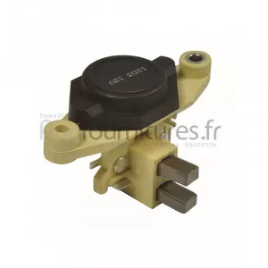 Régulateur alternateur Bepco 62/919-13