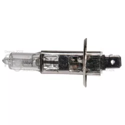 Ampoule 12V - h1 Bepco 63/1955-448