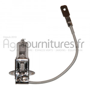 Ampoule 24V Bepco 63/1955-460