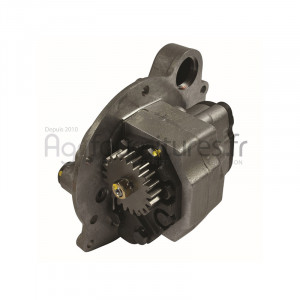 Pompes hydrauliques à engrenages Bepco 24/640-9