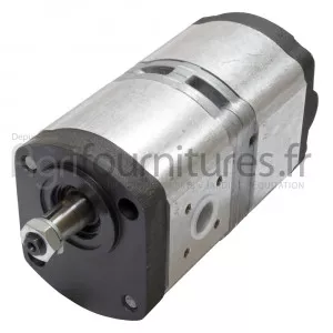 Pompes hydrauliques à engrenages double 11 + 8 cc Bepco 69/565-28