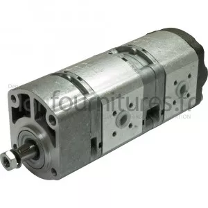 Pompes hydrauliques à engrenages double 14 + 11 cc Bepco 69/565-29