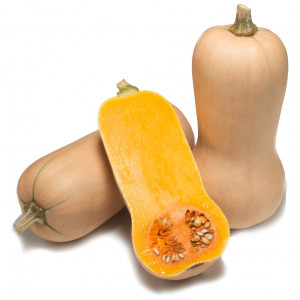 Courge GRANOR F1 butternut - Non traité