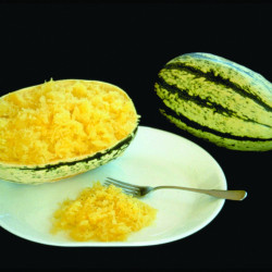 Courge STRIPETTI F1 - Non traité
