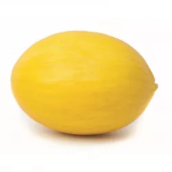 Melon jaune canari DUCRAL F1 - Non traité