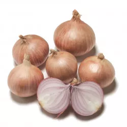 Oignon rosé KERAVEL - Non traité