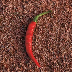 Piment DE CAYENNE - Non traité