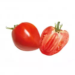 Tomate AS DE COEUR® F1 (C0412 88) allongée - Non traité - Les Toqués