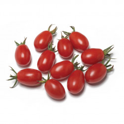 Tomate DATTORED F1 cerise allongée grappe rouge - Non traité - Les Toqués
